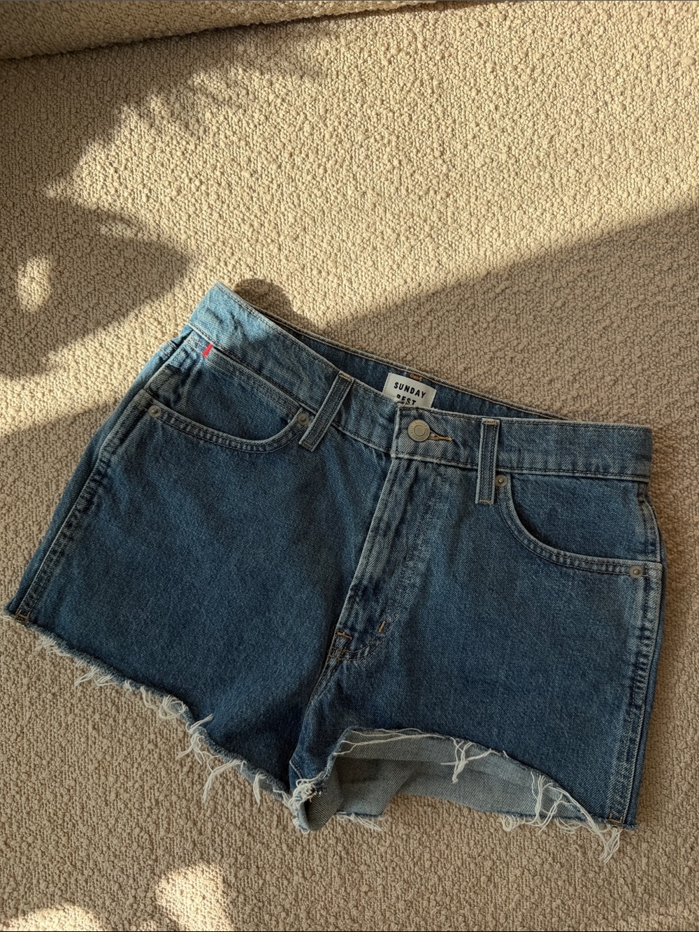 Aritzia Sunday Best Blue Denim Raw-Hem Cutoff Shorts